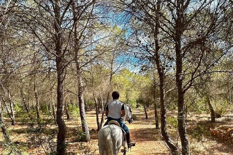 Alicante: Sierra Helada Natural Park Horseback Ride