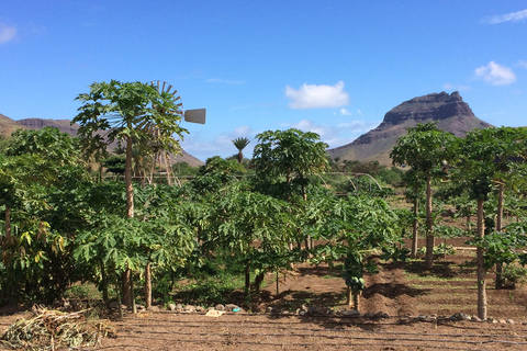São Vicente: Pół dnia, plaże, wioski i Monte Verde
