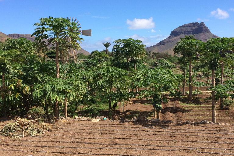 São Vicente: Pół dnia, plaże, wioski i Monte Verde