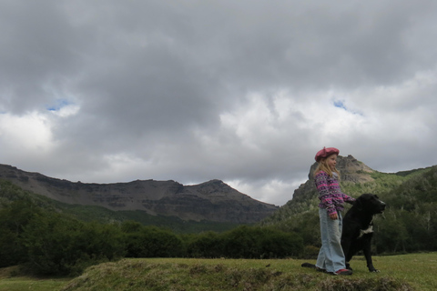San Martín de los Andes: Half-Day Tour to the Mallin Grande
