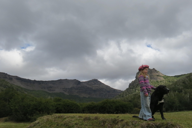 San Martín de los Andes: Half-Day Tour to the Mallin Grande