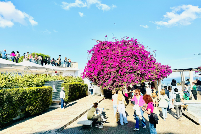 Lizbona: Belem Tour by TukTukLizbona: Belem TukTuk Tour