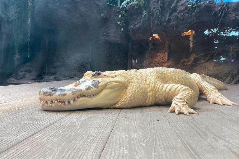 Nouvelle-Orléans : Billet pour l'Aquarium et l'Insectarium Audubon