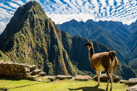 5-daagse Flash Peru: Lima, Cusco, Heilige Vallei &amp; Machu PicchuSuperior hotelcategorie (eenpersoonskamer)