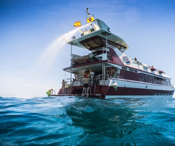 Adeje: Whale and Dolphin Watching Cruise with Lunch and Swim