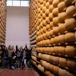 Esperienza nella Food Valley di Bologna: stabilimenti, azienda vinicola e pranzo