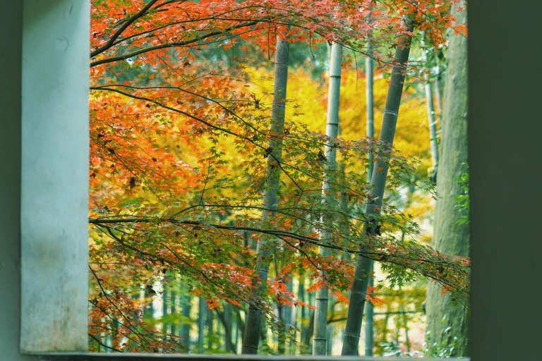 Hangzhou Yunqi Bamboo Trail Admission Ticket