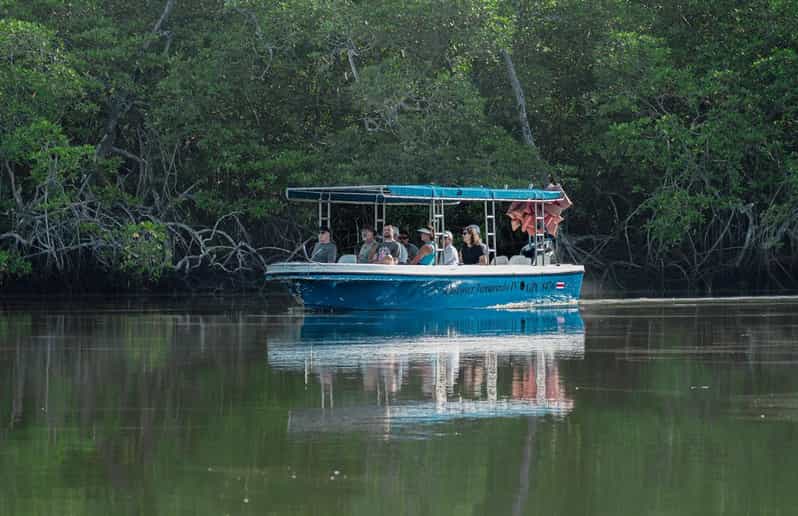 Tamarindo: boottocht naar het mariene park Las Baulas, mangroven en natuur