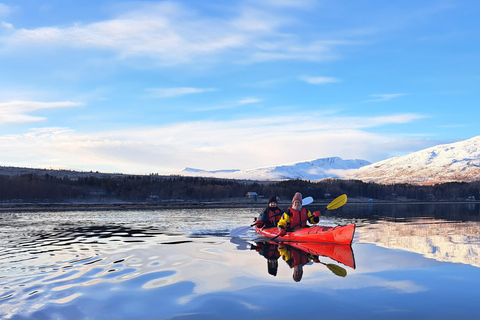 Tromsø: Easy Winter Kayaking Tour with Seal Watching