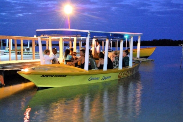 Montego Bay: Nächtliche Bootstour durch die leuchtende LaguneLuminous Lagoon After Dark Tour von: Iberostar, Grand Beach
