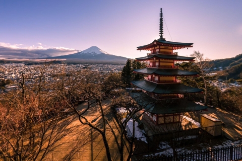 1-Tages-Tour: Mt Fuji + Kawaguchi Seegebiet