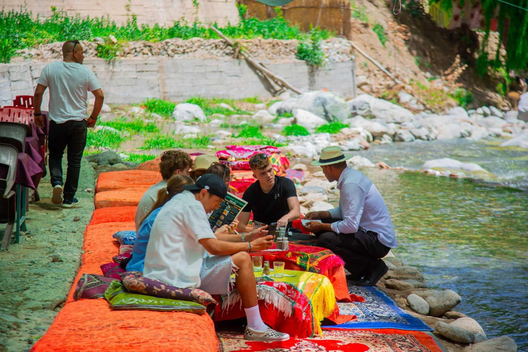 Marraquexe: Cascatas de Ourika, Montanhas Atlas, Guia + AlmoçoMarraquexe: Vale de Ourika com almoço + guia (recomendado)
