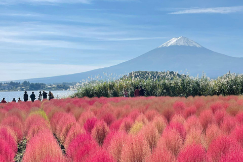 Tokyo: Full-day tour of the four Majestic spots of Mt Fuji