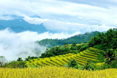 From Hanoi: Visit Sapa 3 Days & See The Terraced Fields Group Tour With A 4-Star Hotel