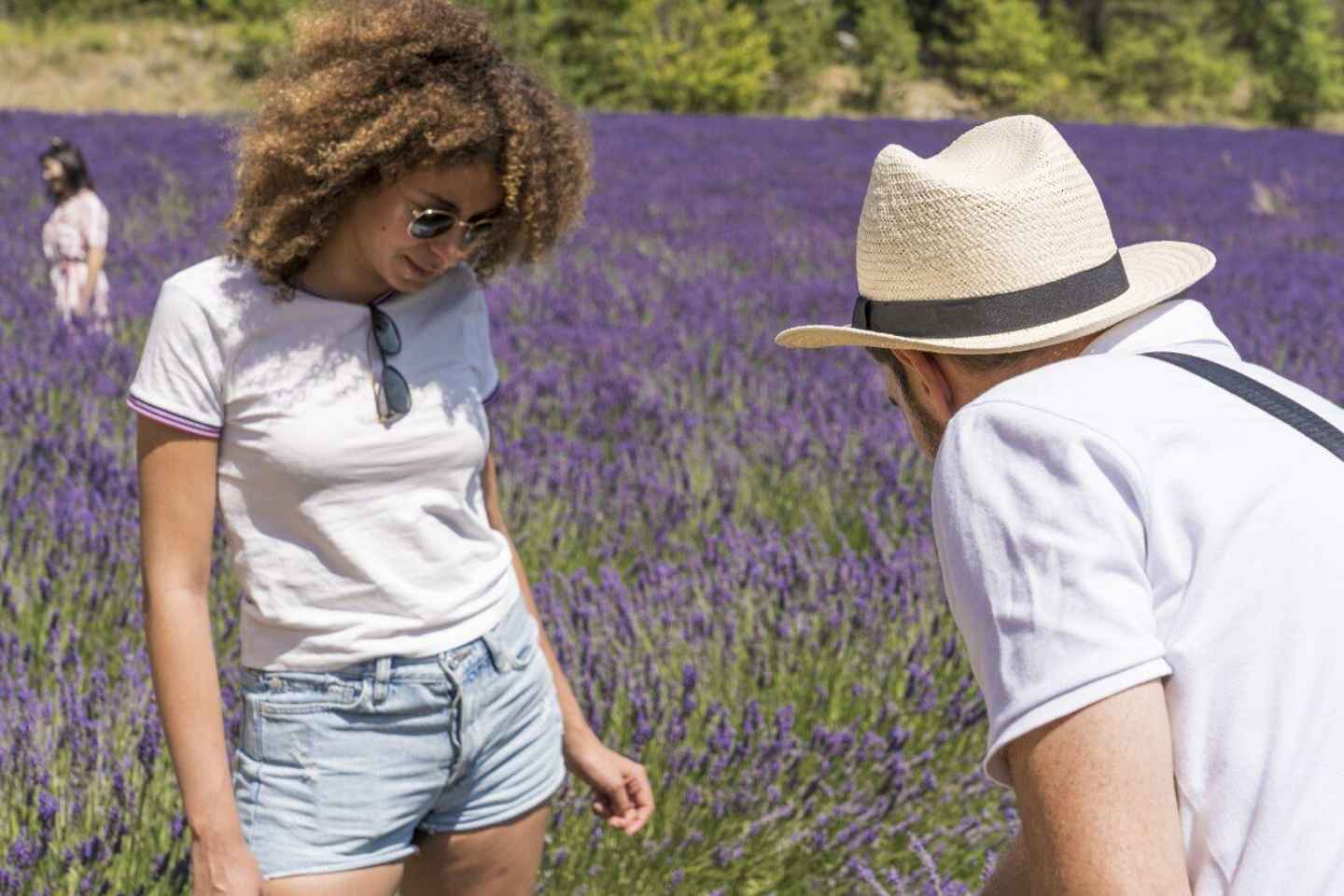 From Avignon: Half-Day Lavender Tour of Luberon