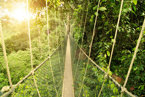 Taman Negara Tour privado