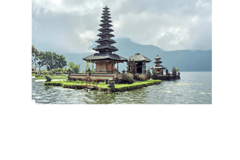 North Bali: Walking on the expanse of jati luwih rice fields