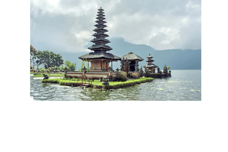 North Bali: Walking on the expanse of jati luwih rice fields