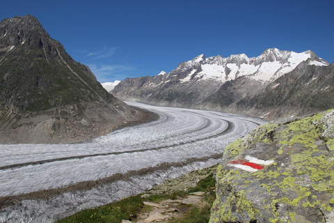 Jungfraujoch Guided Day Trip from Lucerne/Zurich Jungfraujoch Guided Day Trip from Lucerne