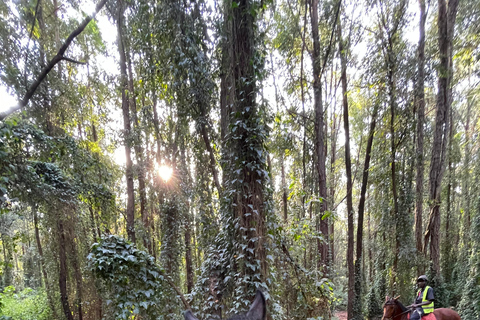 Nairóbi: Passeio a cavalo pela floresta de Karura