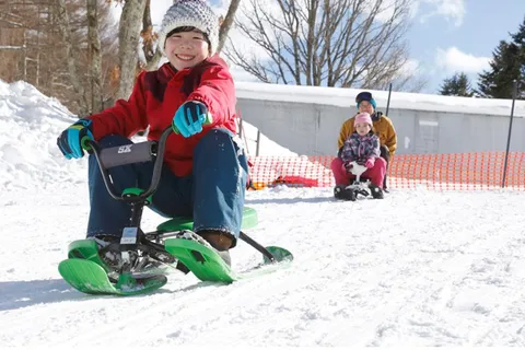 From Tokyo: Ski DayTrip with Gears & Wears to Ikenotaira