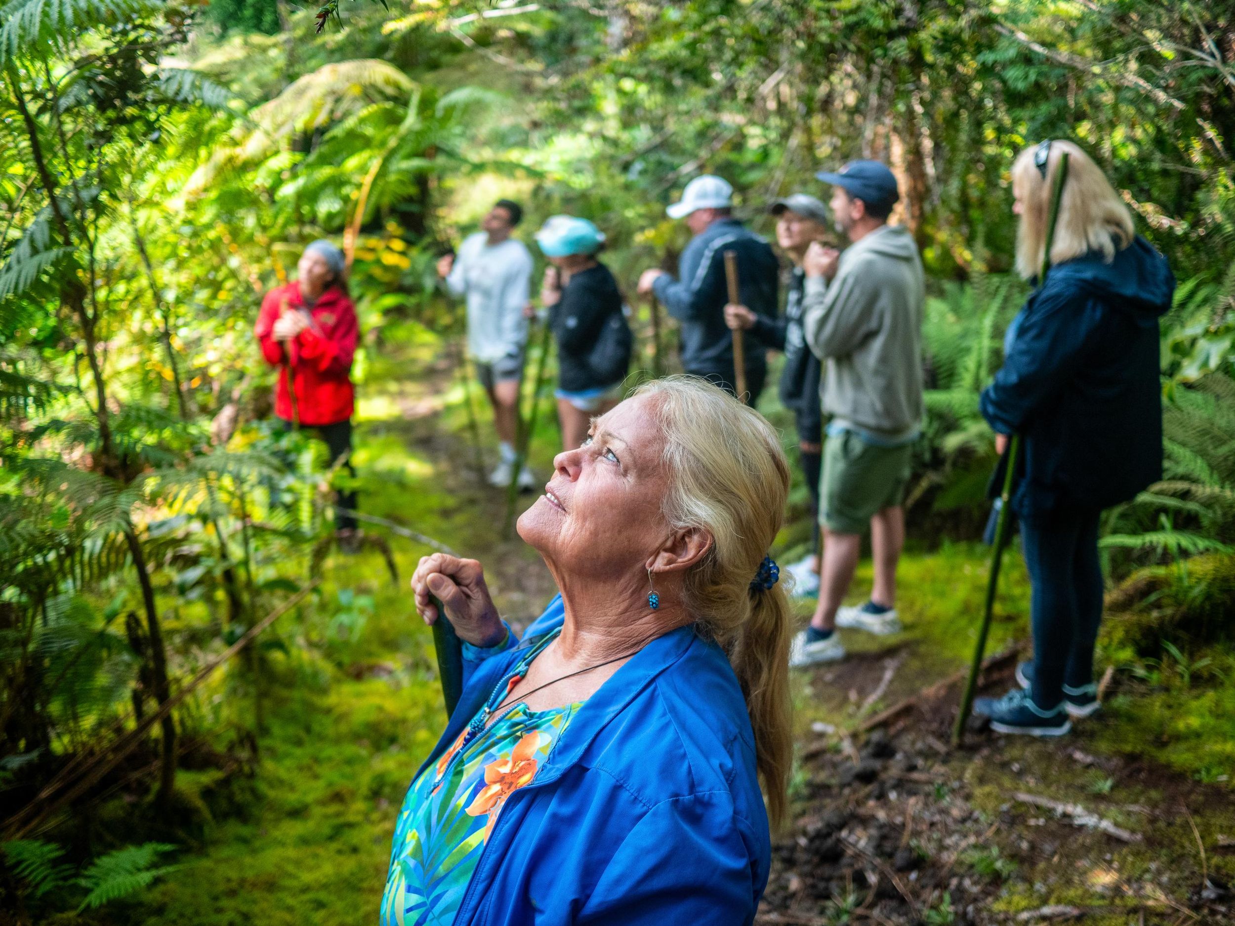 Kona: Nebelwald, Kaffeefarm und Schildkrötenstrand-Tour