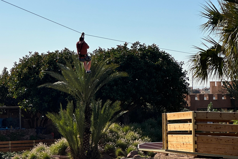 Agadir: Goats on Trees & Crocoparc Tour Goats on Trees & Crocoparc – Entry Ticket Included