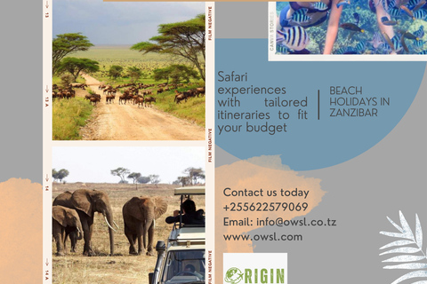 ARUSHA: Best Offer Safari Adventure with Accommodation