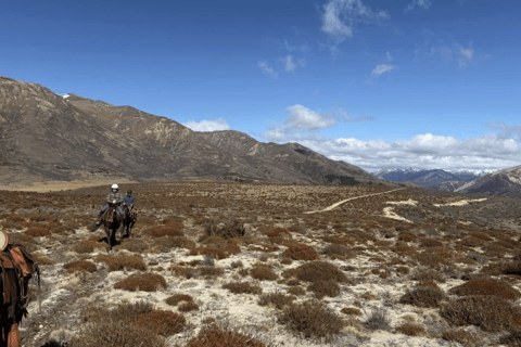 Hanmer Springs: Epic Half-Day Horseback Trekking in St James
