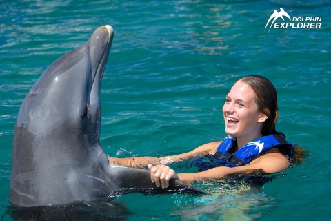 Swim with Dolphins in Punta Cana Dolphin Explorer Punta Cana