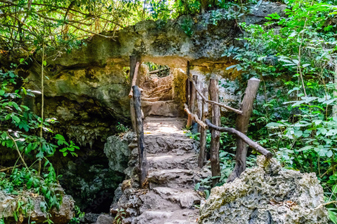 Zanzibar: Jozani Forest, Kuza Cave & Seaweed Farm Tour