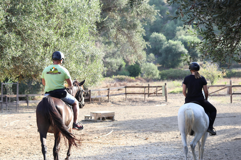 Corfu: Donkey Sanctuary and Farm Tour with Lunch Corfu: Donkey Sanctuary,Horse Riding,Farm Tour with Lunch