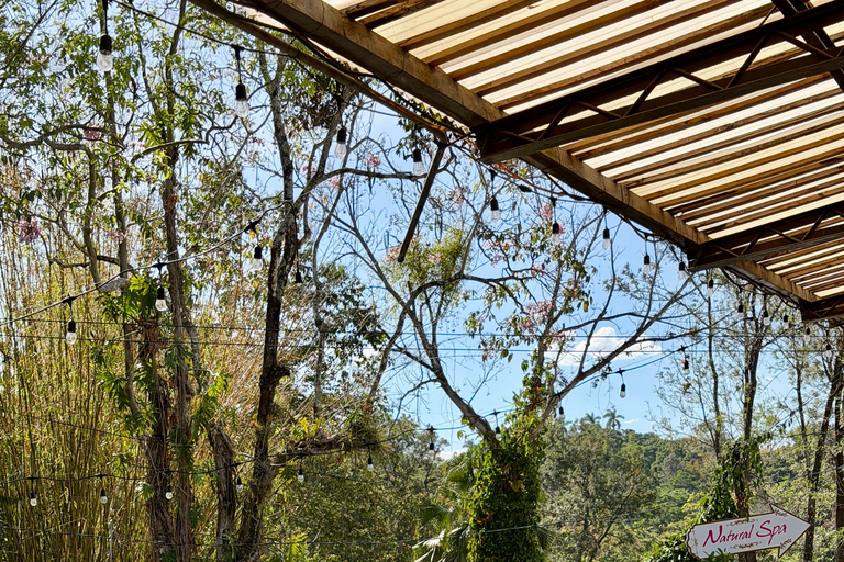 Santa Teresa Hot Springs, Fruit Tasting, & Ataco Tour