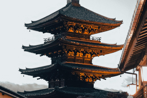 Kyoto: Private Luxury Tour With Vehicle (Customizable)