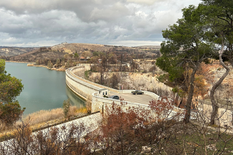 Athens: Marathon Lake, Museum, and Shinias Beach Day Trip