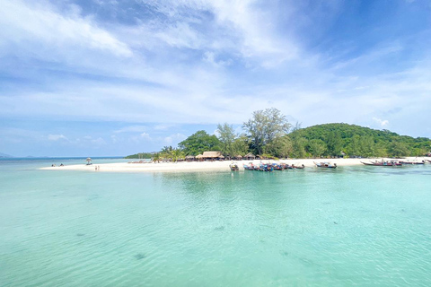 Koh Samui: Wycieczka szybkim katamaranem z delfinami i 3 wyspami