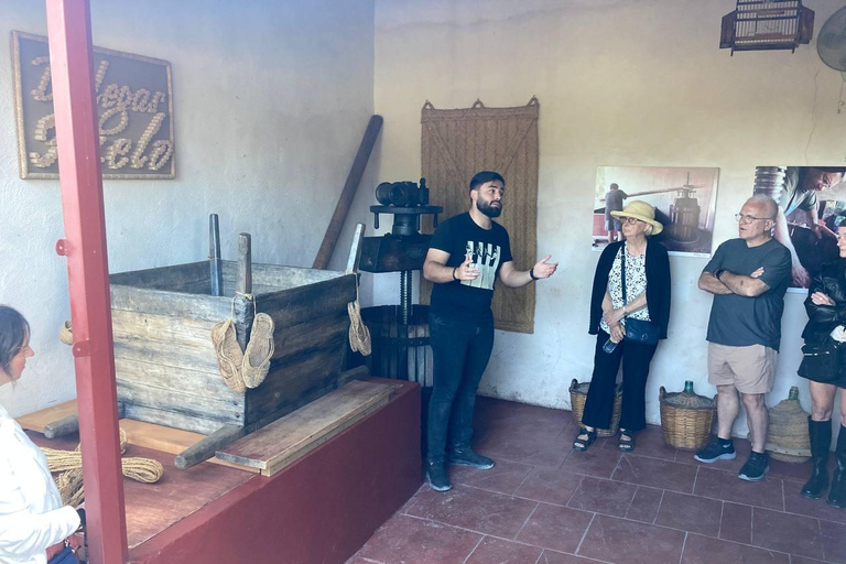 Alicante: Winery Tour with Wine Tasting and Snacks