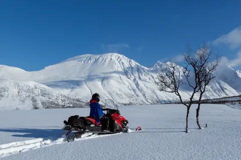 Tromsö: Snöskotersafari i Lyngenalperna med lunch