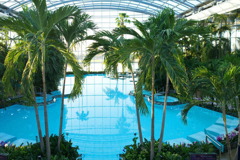 Therme Bucharest Luxury Spa - Ticket & Transfer Bucharest: Therme Bucharest Luxury Spa - Ticket & Transfer