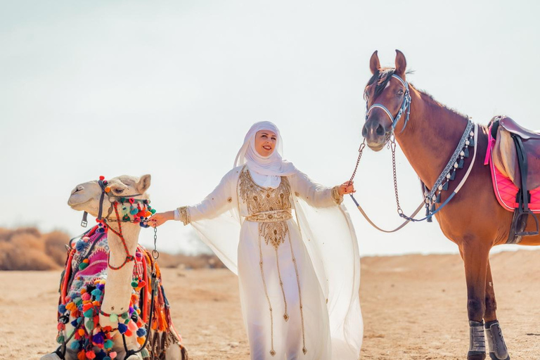 الغردقة: جولة ركوب الخيل في الصحراء والبحر مع خيار السباحةجولة لمدة ساعتين لركوب الخيل بدون السباح