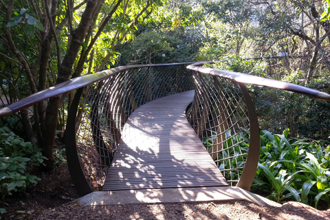 Cape Town: the Mountain, the Garden and the Vineyard