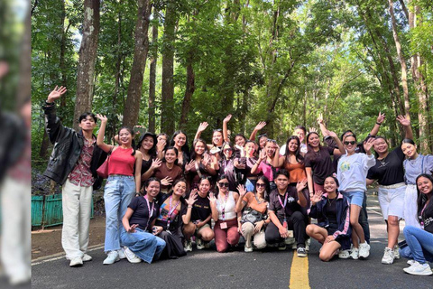Bohol: Tour condiviso delle colline di cioccolato, dei tarsi e del fiume Loboc
