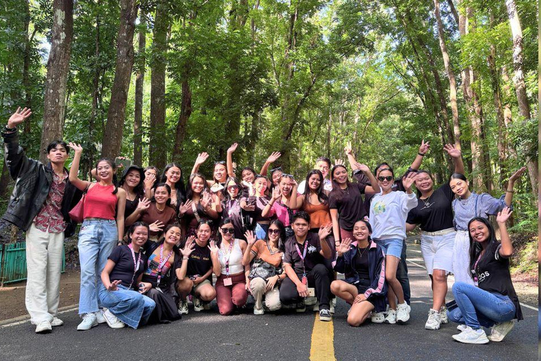 Bohol: Tour condiviso delle colline di cioccolato, dei tarsi e del fiume Loboc