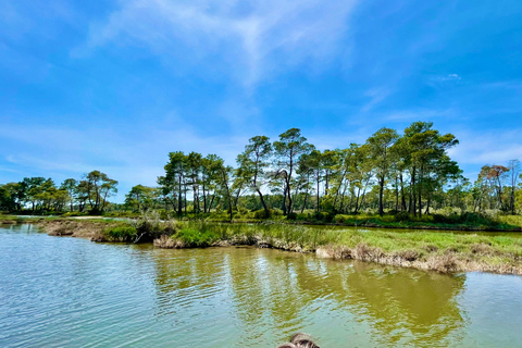 Excursión al Parque Nacional de Durres y Karavasta en Land Rover de Lujo