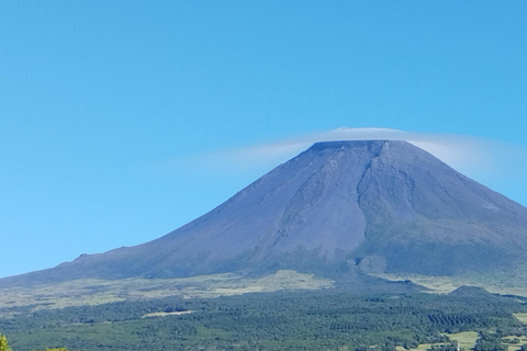 Pico Grand Tour: Volcanoes, UNESCO Vineyards & Local Culture