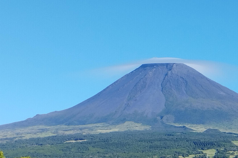 Pico Grand Tour: Volcanoes, UNESCO Vineyards & Local Culture