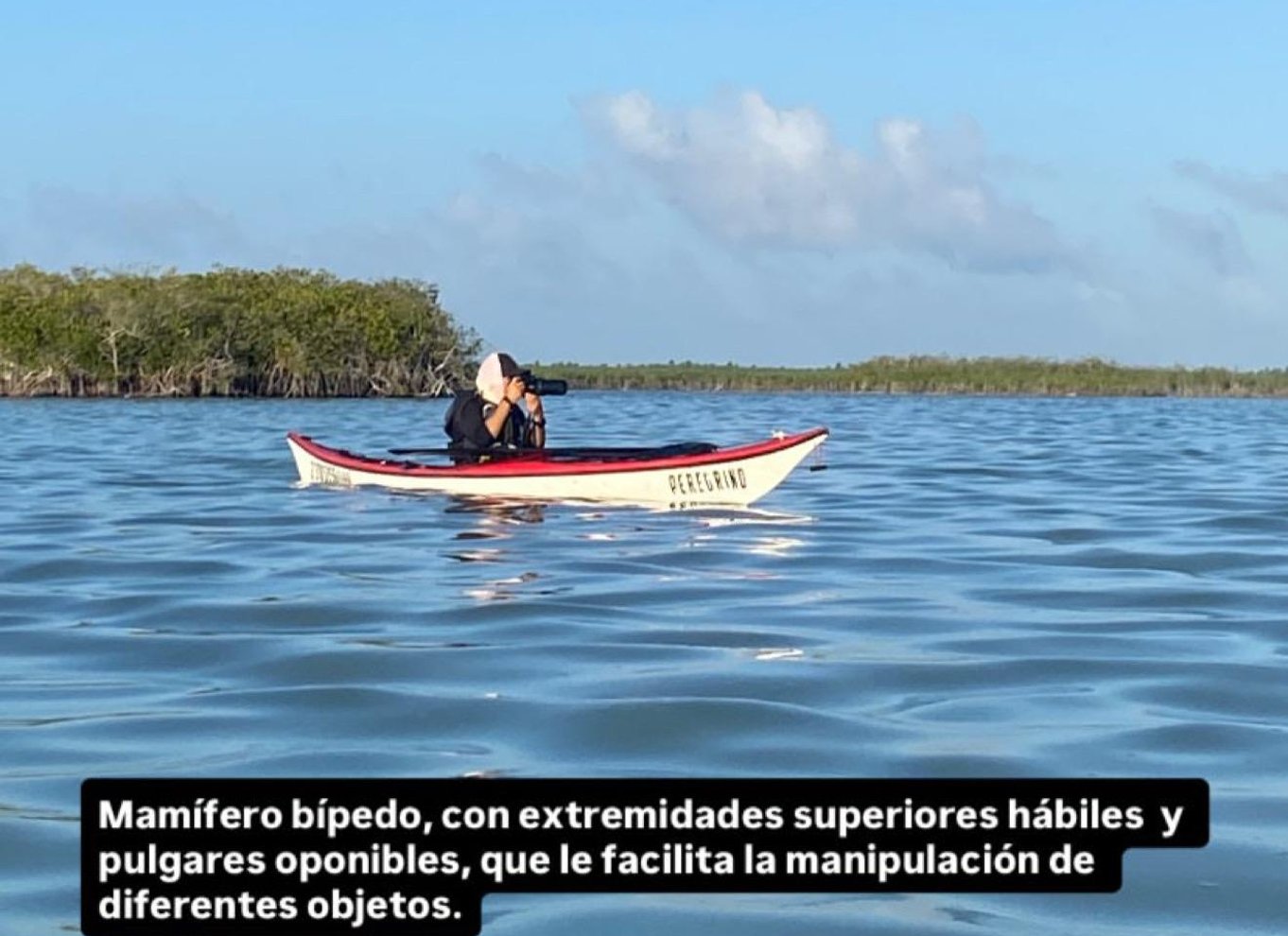 Tulum: Kajaksejlads og fuglekiggeri i Sian Ka’an