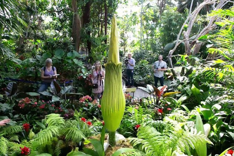 Private Vancouver Aquarium en Bloedel Conservatory Tour