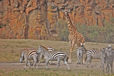 Nairobi : excursion d&#039;une journée au parc national de Hell&#039;s Gate et au lac Naivasha