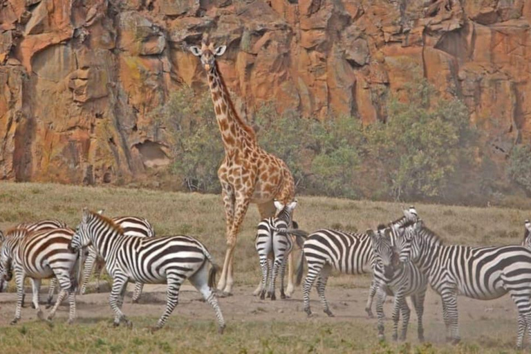 Nairobi: escursione giornaliera al Parco Nazionale Hell&#039;s Gate e al Lago Naivasha